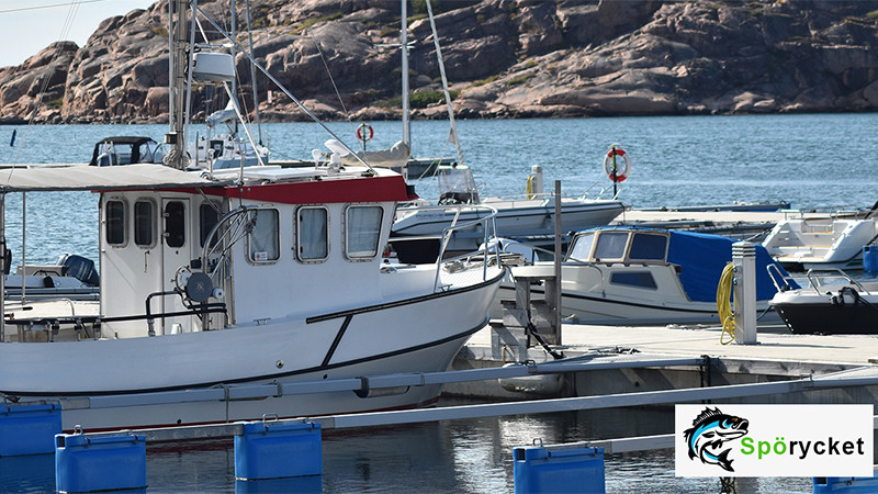 Här hittar ni lite gott och blandat. Viktig information om fisket i Sverige men även lite matnyttigt